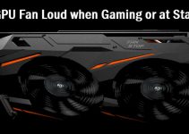 GPU Fan Loud when Gaming or on Startup [Causes & Solutions]