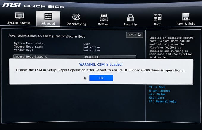 CSM-and-GOP-UEFI